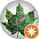 Whatareuduing profile picture