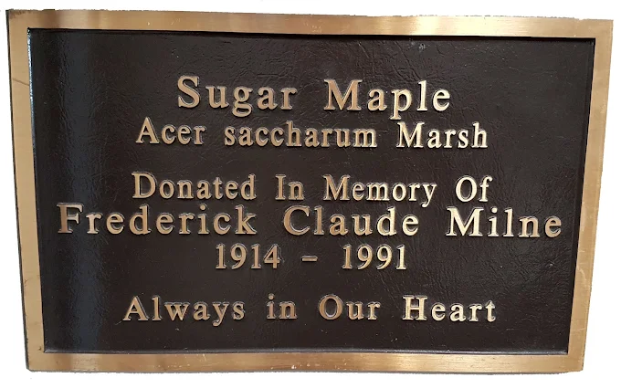 Cast Bronze Commemorative Plaque From by Aran Awards in Hamilton, Ontario
