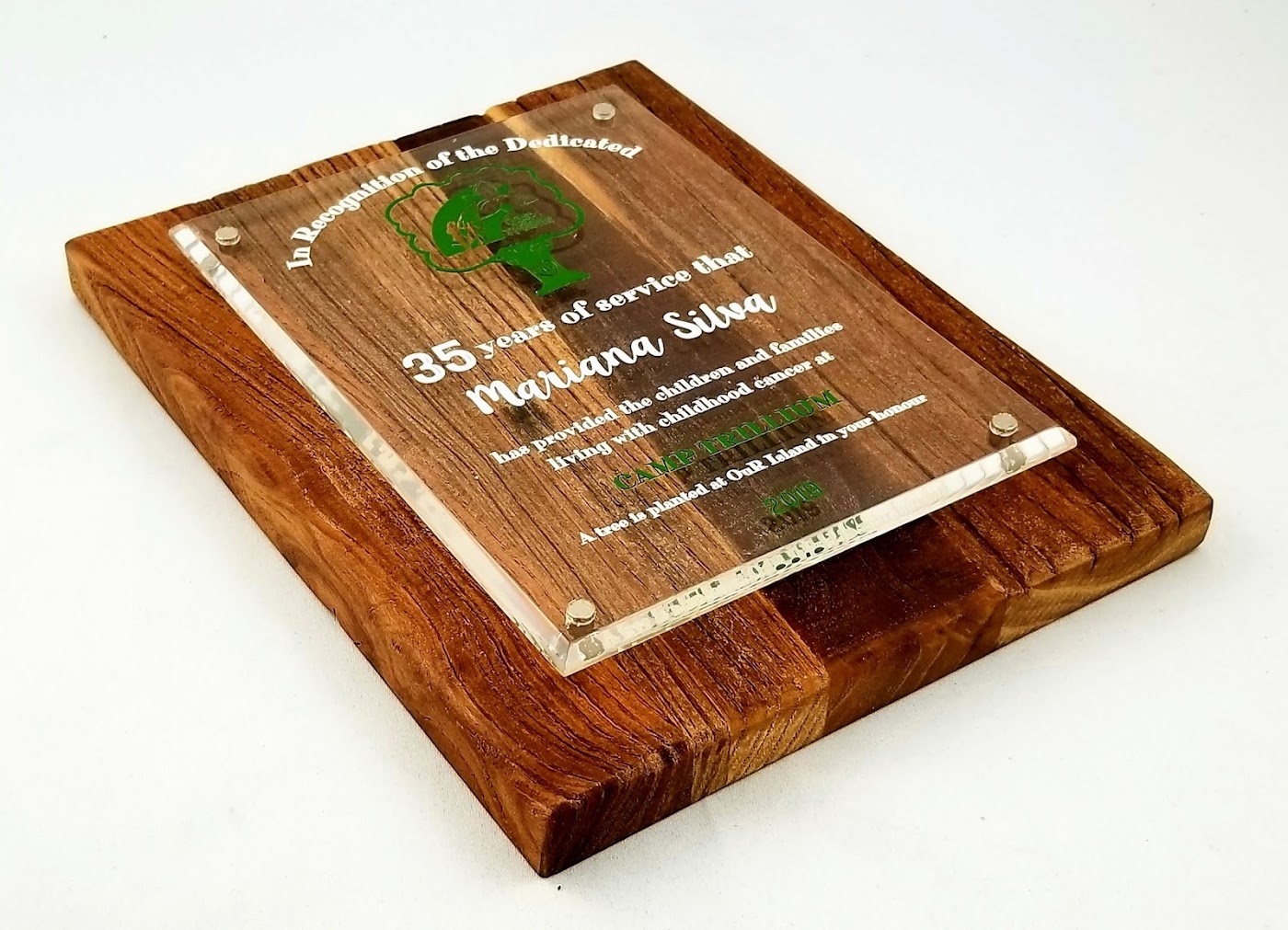 Wood and acrylic recognition plaque from Aran Awards in Hamilton
